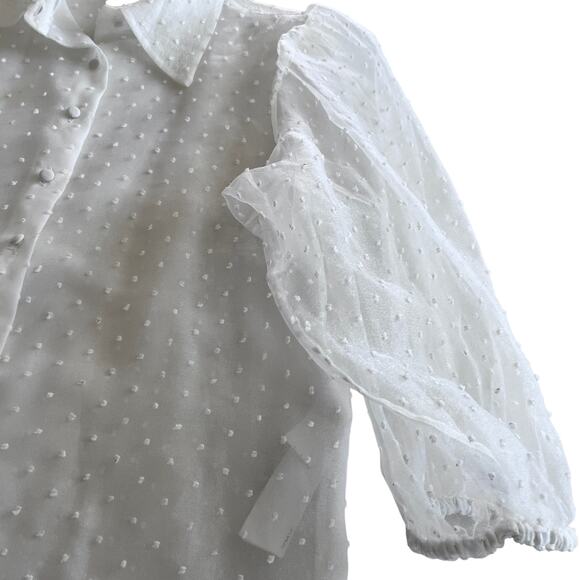 Zara White Organza Puff Sleeve Polka Swiss Dot Semi Sheer Blouse XS - Picture 9 of 14